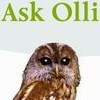 chatbot, conversational agent, chatterbot, virtual agent Ollie